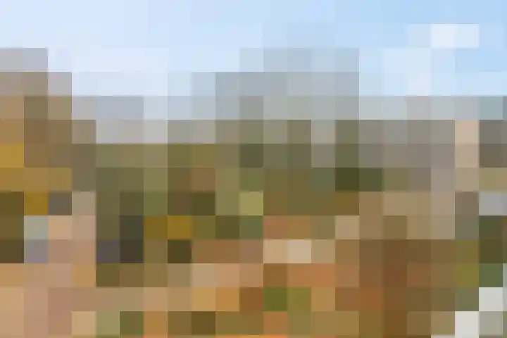 Dennenlaan 318 Ede thumbnail 28