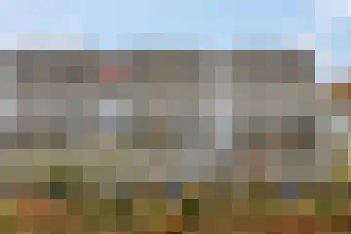 Dennenlaan 318 Ede thumbnail 31