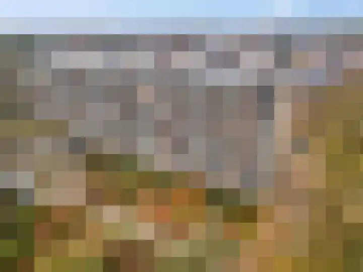 Dennenlaan 318 Ede thumbnail 33