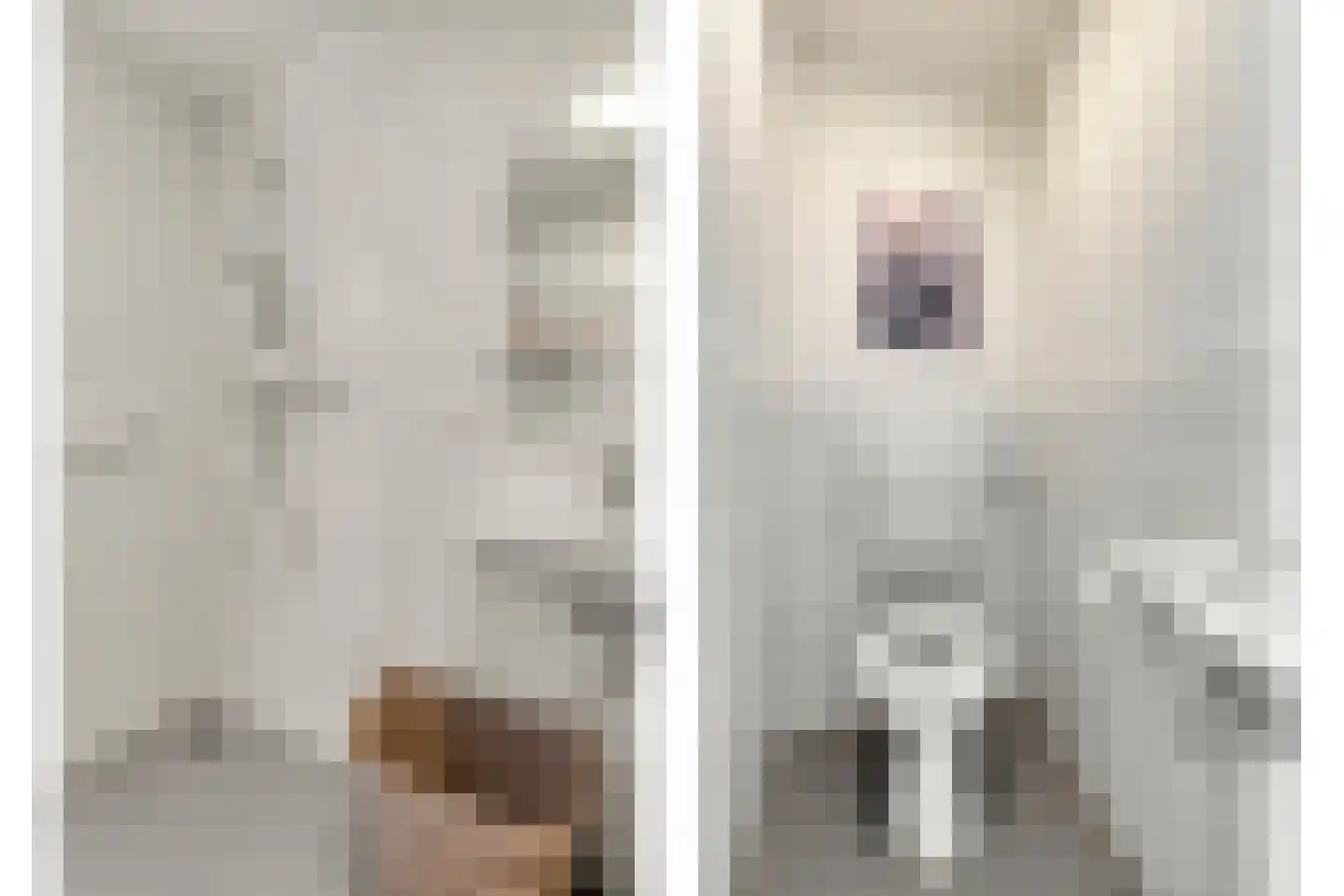 Dennenlaan 32 Duiven thumbnail 20
