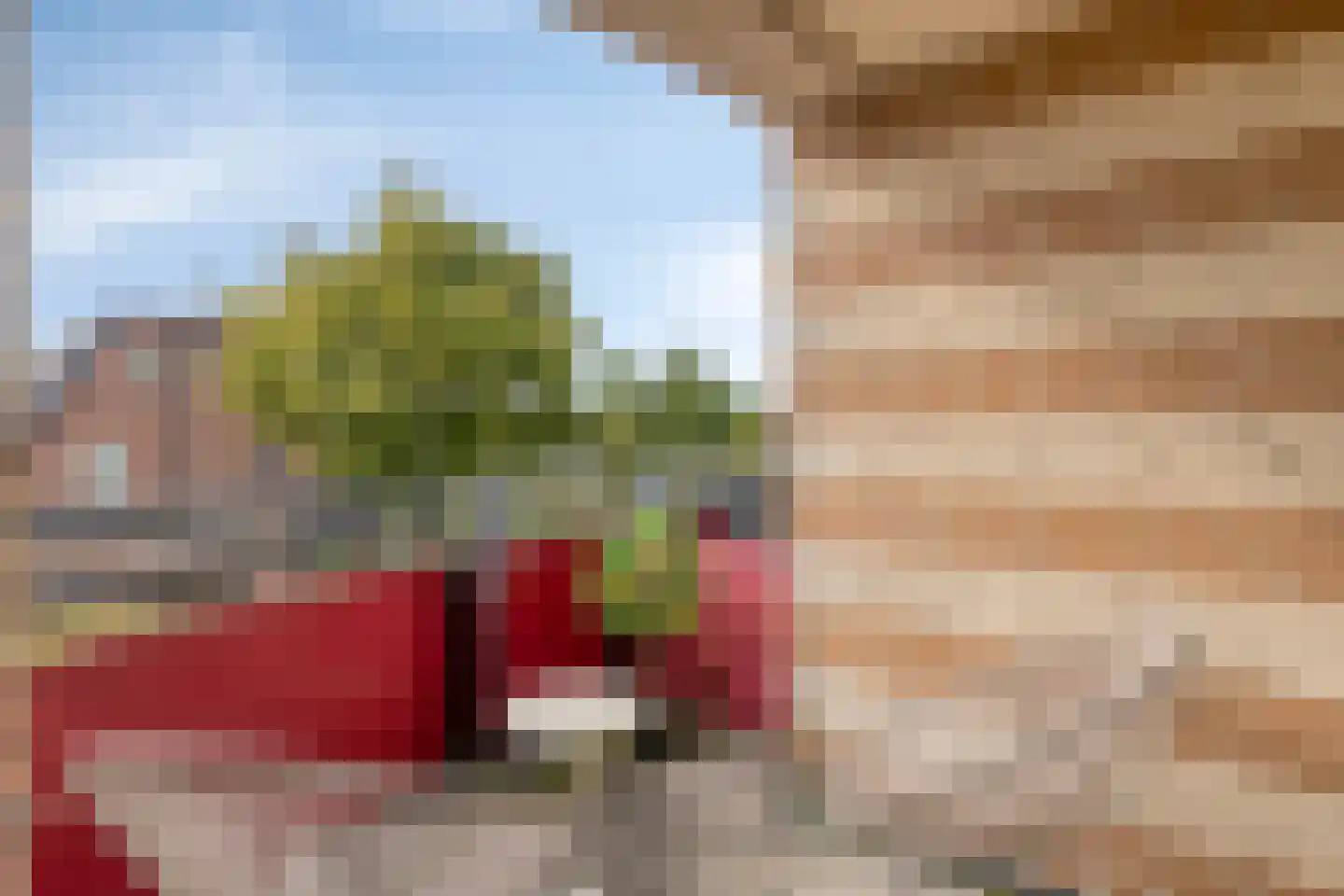 Dennenlaan 32 Duiven thumbnail 23