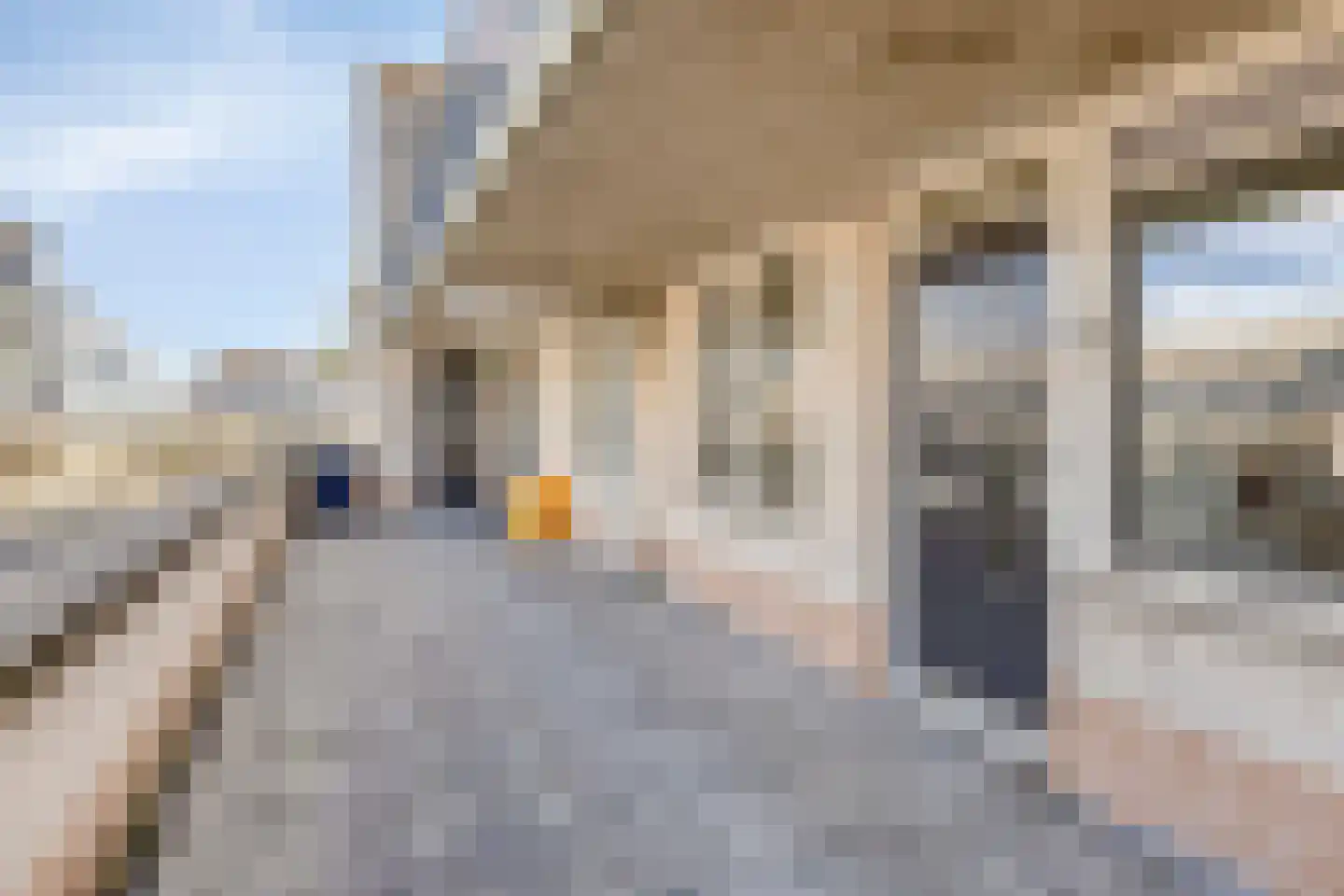 Dennenlaan 32 Duiven thumbnail 4