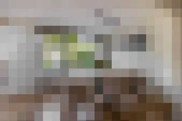 Dennenlaan 36 Harderwijk thumbnail 10