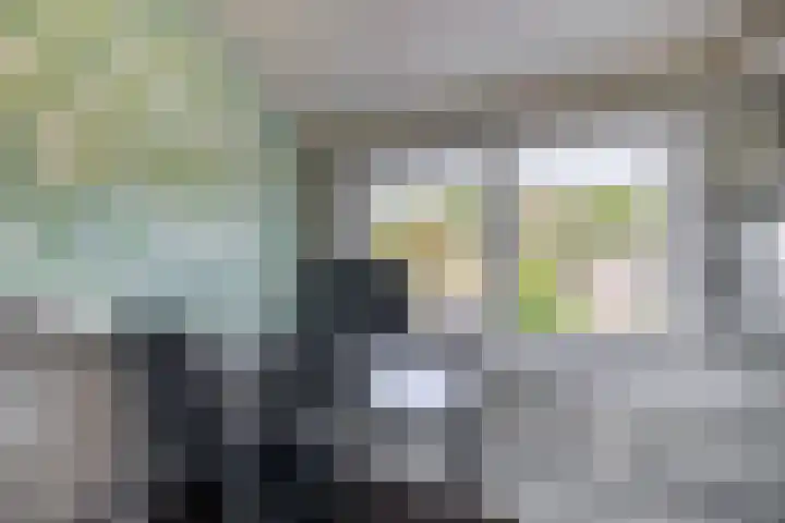 Dennenlaan 36 Harderwijk thumbnail 24