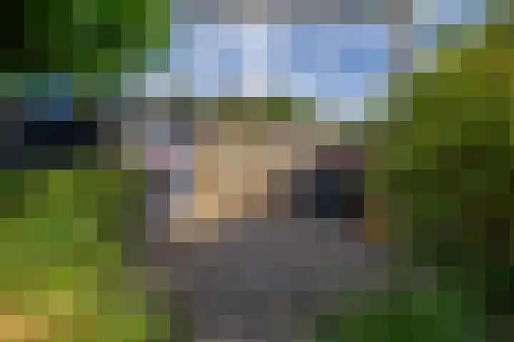 Dennenlaan 36 Harderwijk thumbnail 28