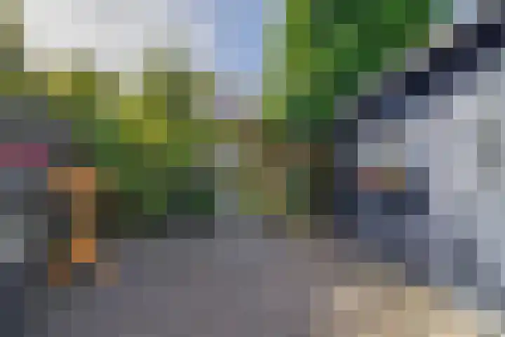 Dennenlaan 36 Harderwijk thumbnail 29