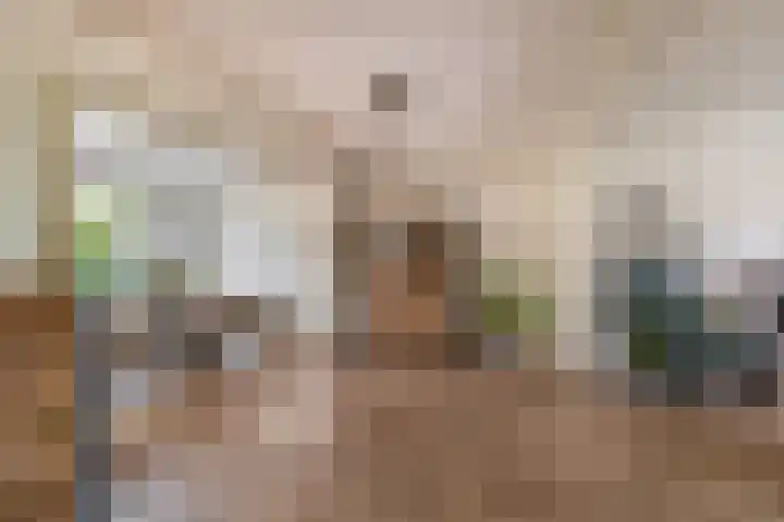 Dennenlaan 36 Harderwijk thumbnail 5