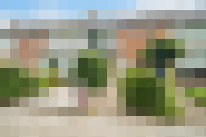Dennenlaan 38 Dorst thumbnail 10