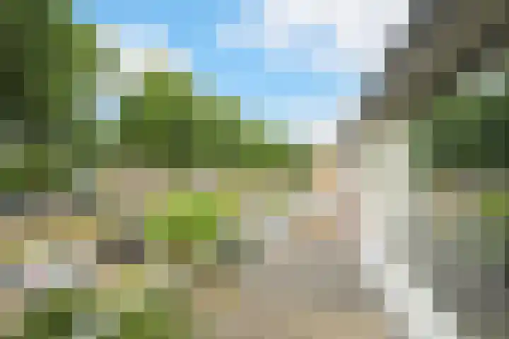 Dennenlaan 38 Dorst thumbnail 31