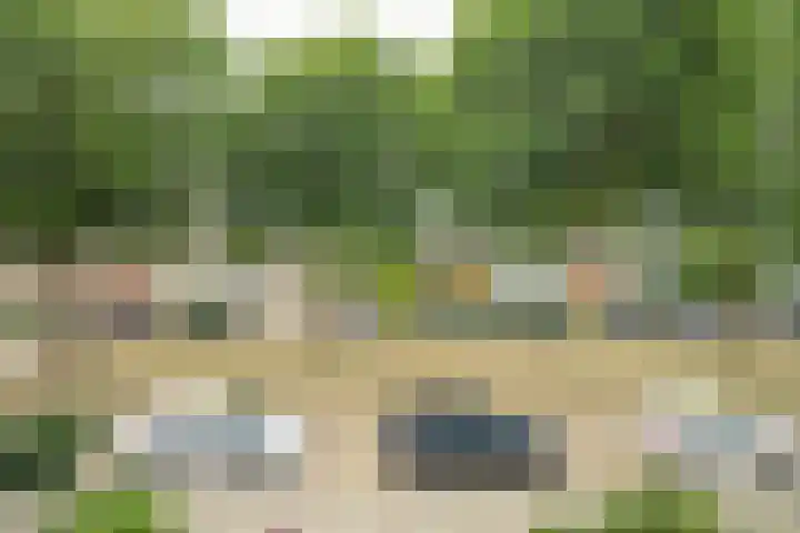 Dennenlaan 38 Dorst thumbnail 32