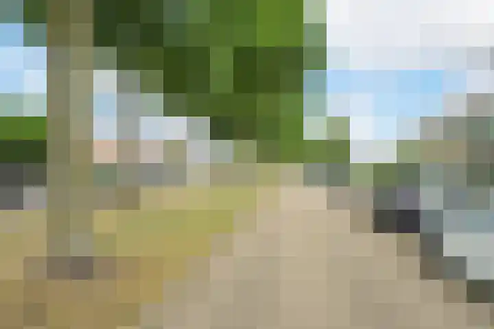Dennenlaan 38 Dorst thumbnail 47