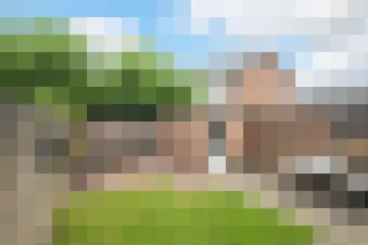 Dennenlaan 38 Dorst thumbnail 8