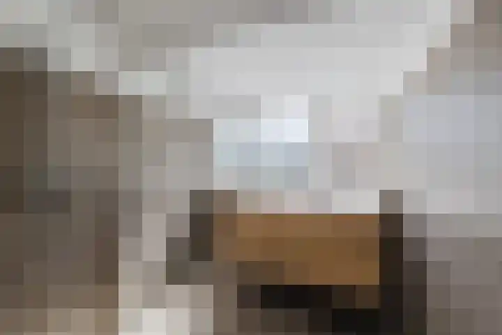 Dennenlaan 38 Havelte thumbnail 22