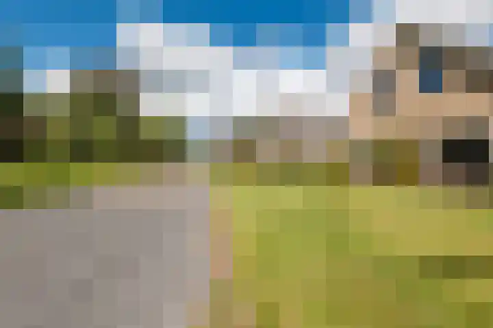 Dennenlaan 38 Havelte thumbnail 24