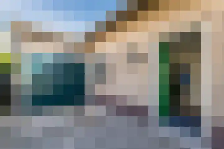 Dennenlaan 38 Havelte thumbnail 26