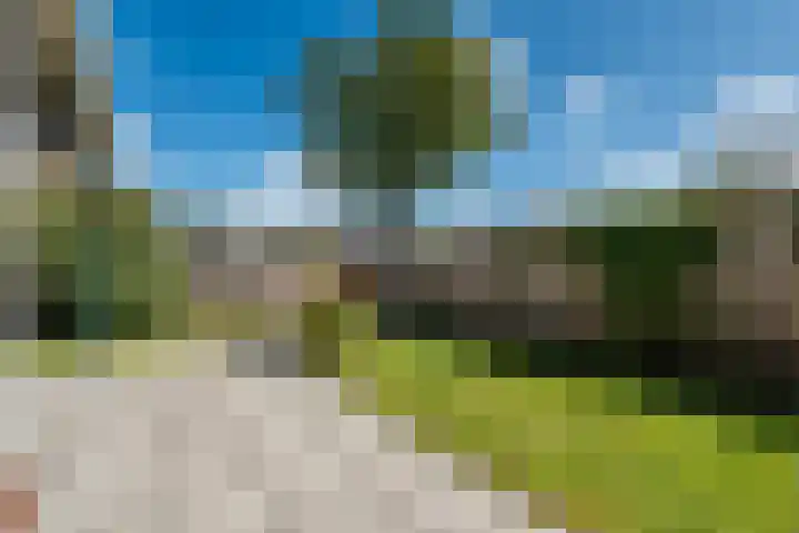 Dennenlaan 38 Havelte thumbnail 28