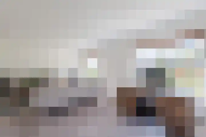 Dennenlaan 38 Havelte thumbnail 5