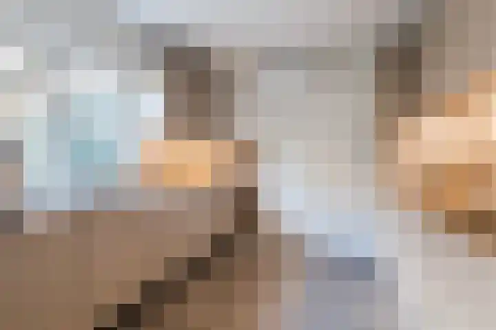 Dennenlaan 38 Havelte thumbnail 7