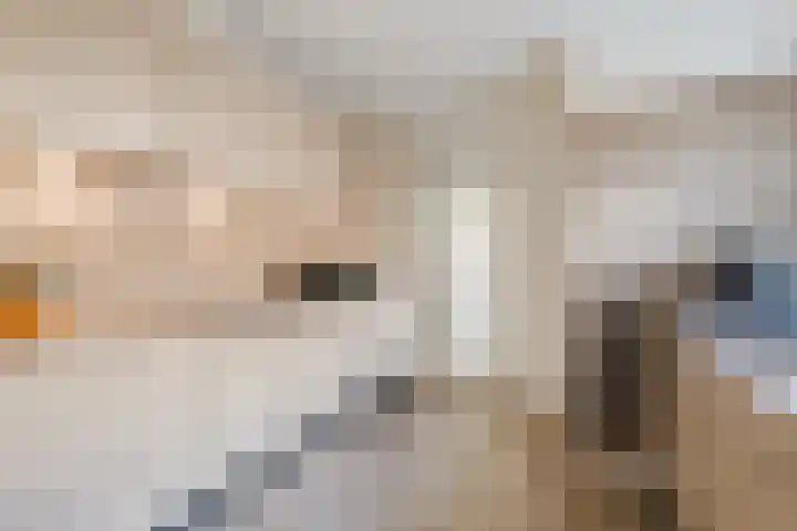 Dennenlaan 38 Havelte thumbnail 8