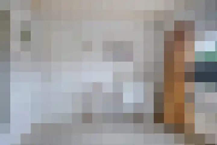 Dennenlaan 39 Harderwijk thumbnail 26