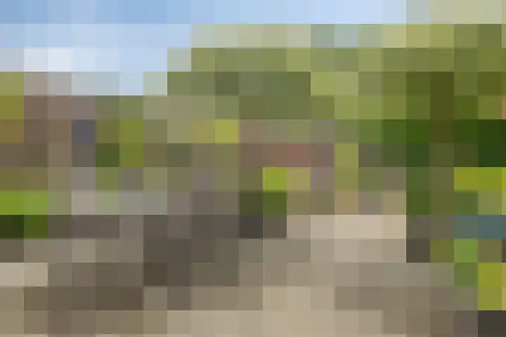 Dennenlaan 39 Harderwijk thumbnail 31