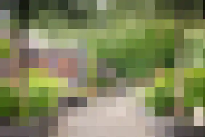 Dennenlaan 39 Harderwijk thumbnail 32
