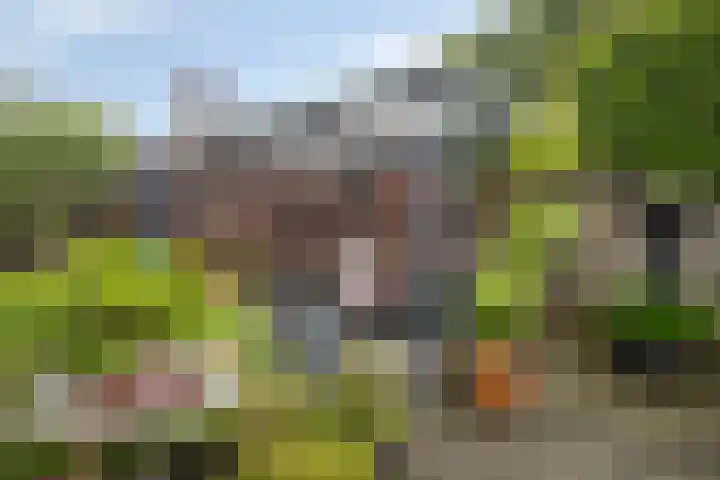Dennenlaan 39 Harderwijk thumbnail 33
