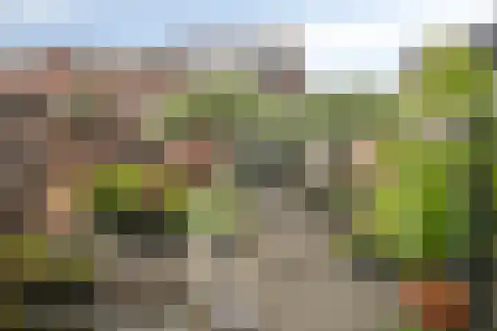 Dennenlaan 39 Harderwijk thumbnail 36