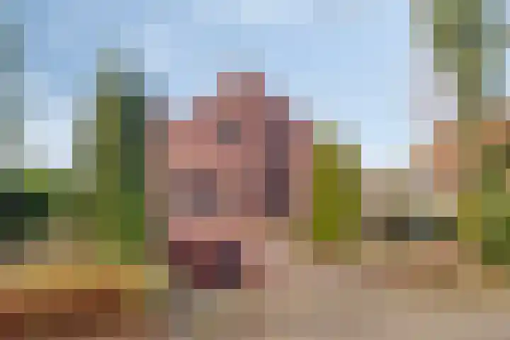 Dennenlaan 4 Heijen
