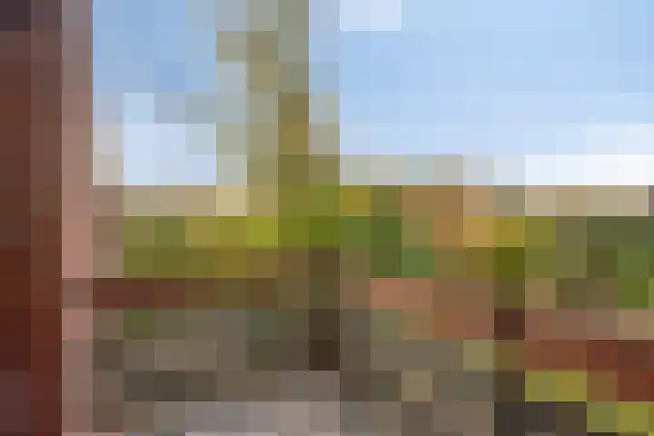 Dennenlaan 4 Heijen thumbnail 26