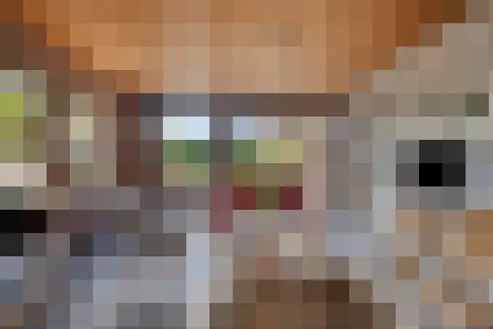 Dennenlaan 4 Heijen foto 3