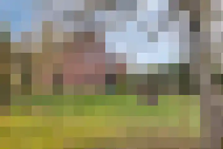 Dennenlaan 4 Heijen thumbnail 41