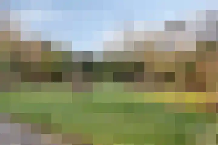 Dennenlaan 4 Heijen thumbnail 42
