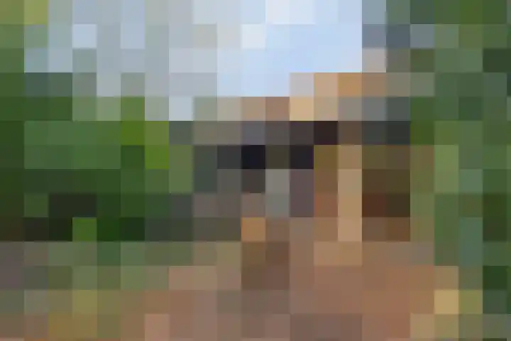 Dennenlaan 4 Heijen thumbnail 47