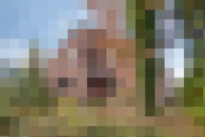 Dennenlaan 4 Heijen thumbnail 48