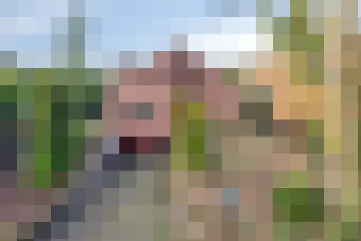 Dennenlaan 4 Heijen thumbnail 49