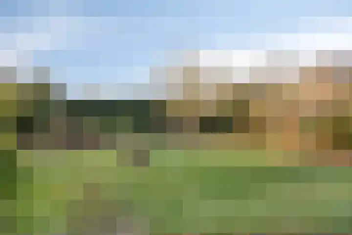 Dennenlaan 4 Heijen thumbnail 5