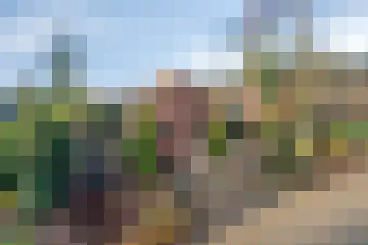 Dennenlaan 4 Heijen thumbnail 50