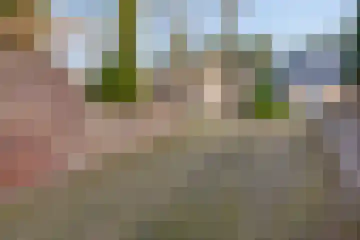 Dennenlaan 4 Heijen thumbnail 51