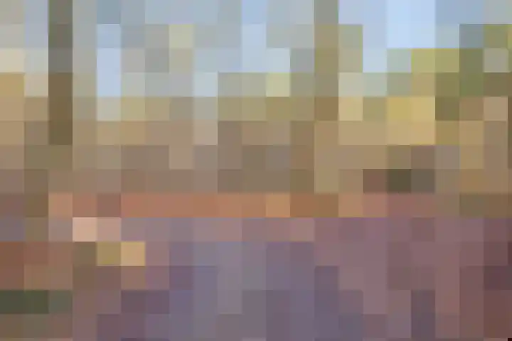 Dennenlaan 4 Heijen thumbnail 53