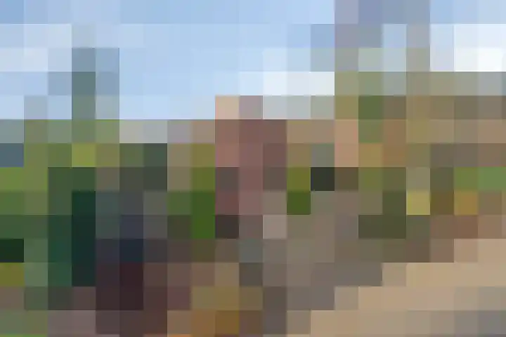Dennenlaan 4 Heijen thumbnail 6