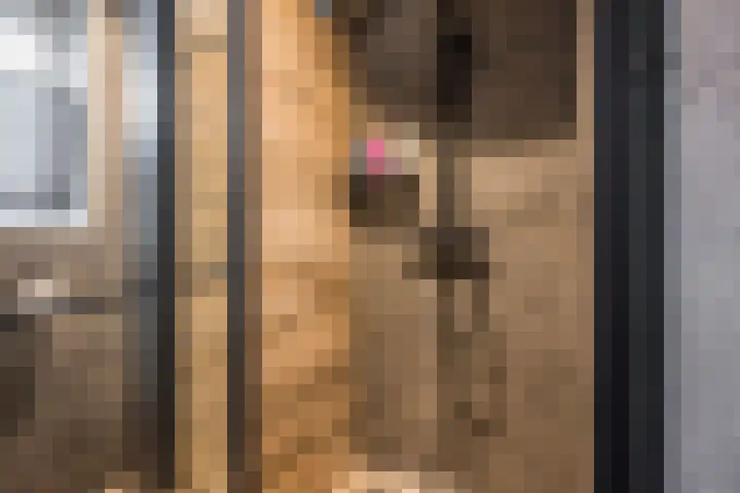 Dennenlaan 4 Nijkerk thumbnail 25