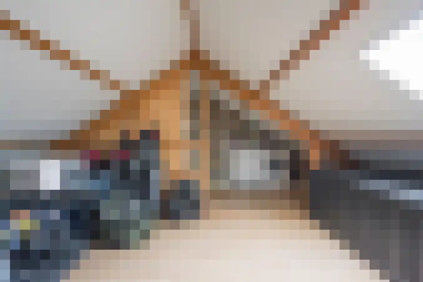 Dennenlaan 4 Nijkerk thumbnail 28
