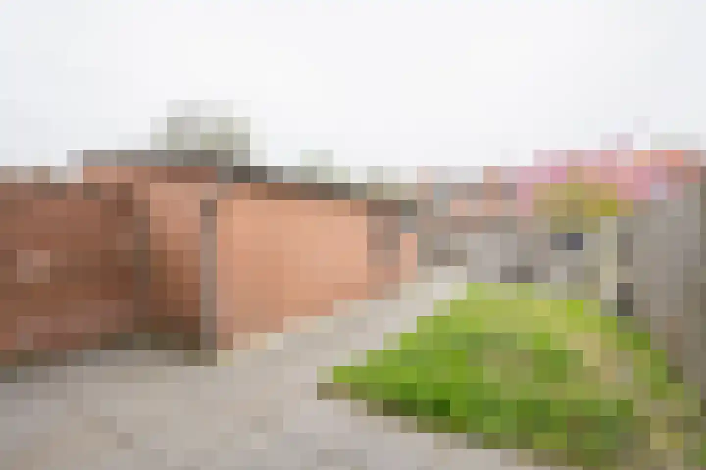 Dennenlaan 4 Nijkerk thumbnail 32