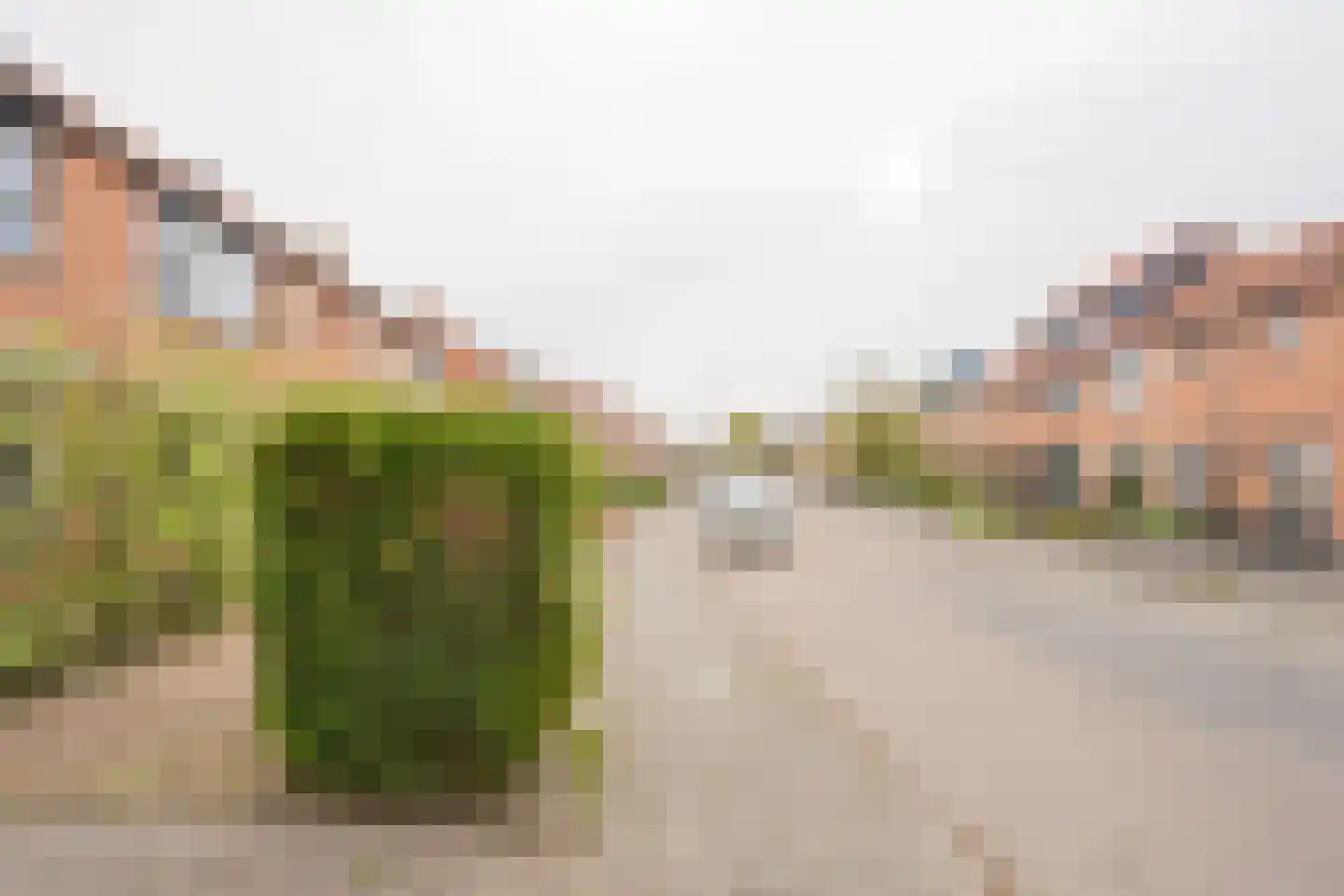 Dennenlaan 4 Nijkerk thumbnail 35