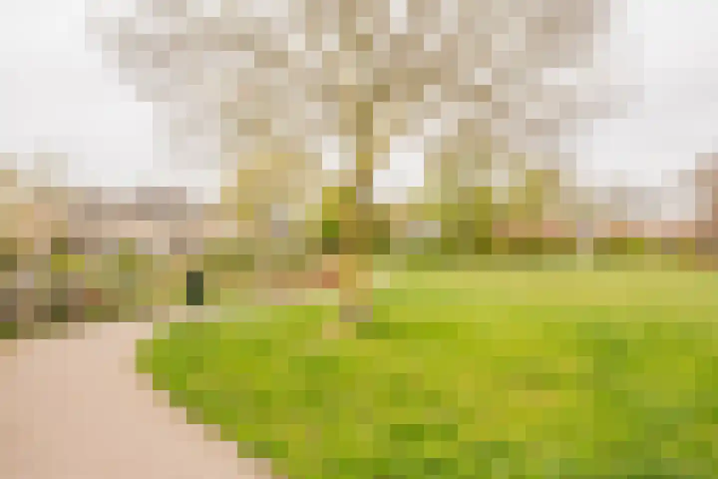 Dennenlaan 4 Nijkerk thumbnail 36