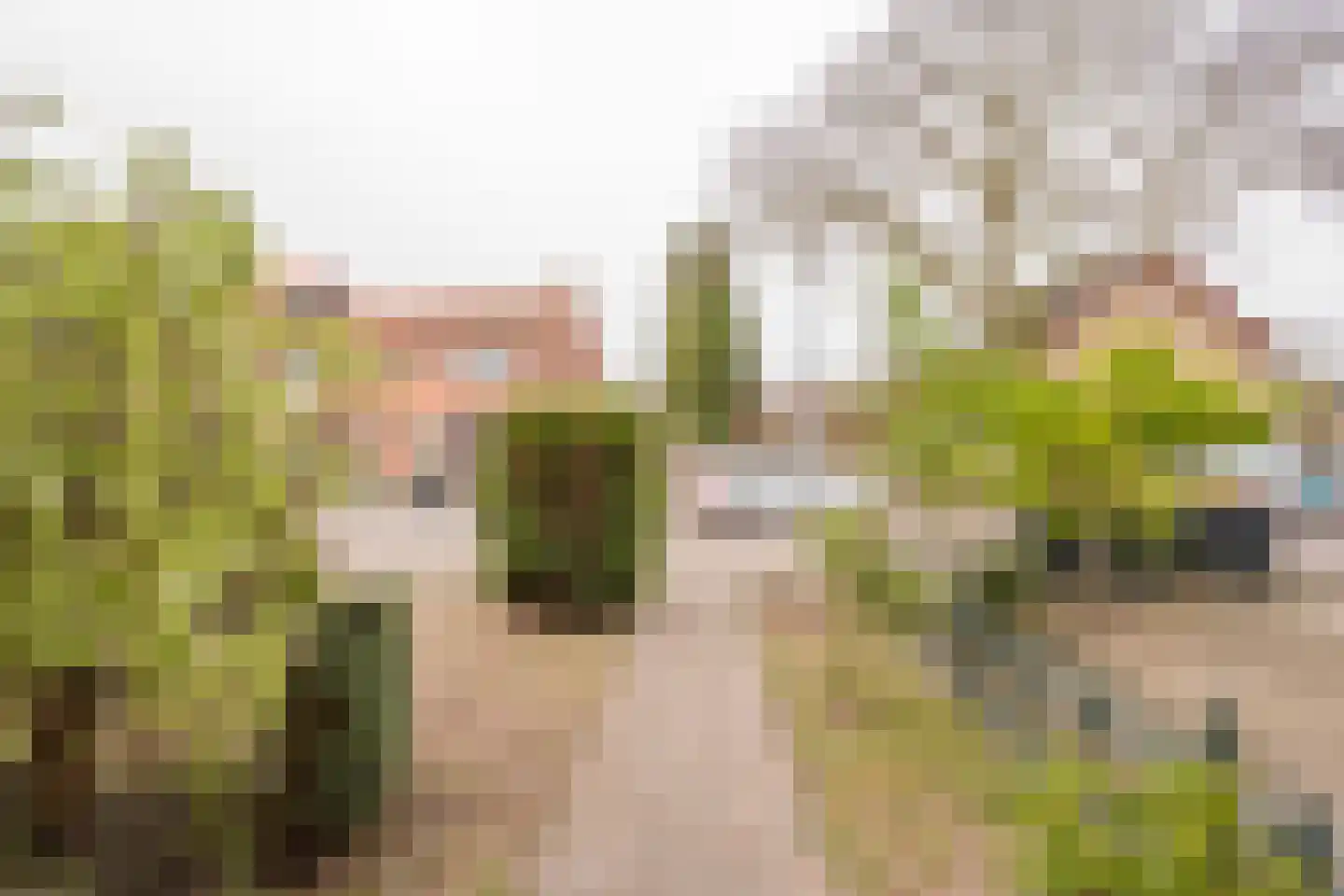 Dennenlaan 4 Nijkerk thumbnail 37