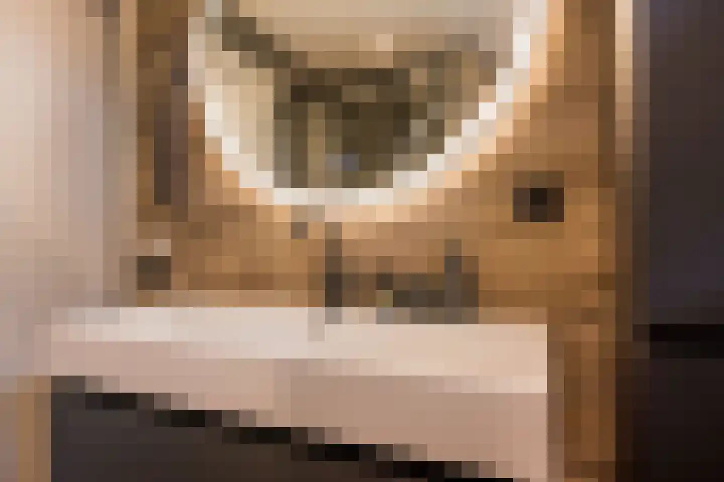 Dennenlaan 4 Nijkerk thumbnail 4