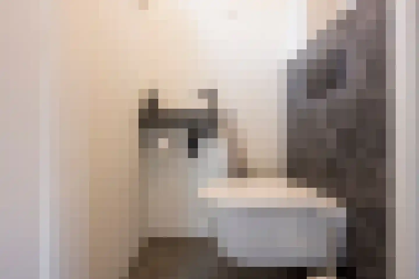 Dennenlaan 4 Nijkerk thumbnail 7