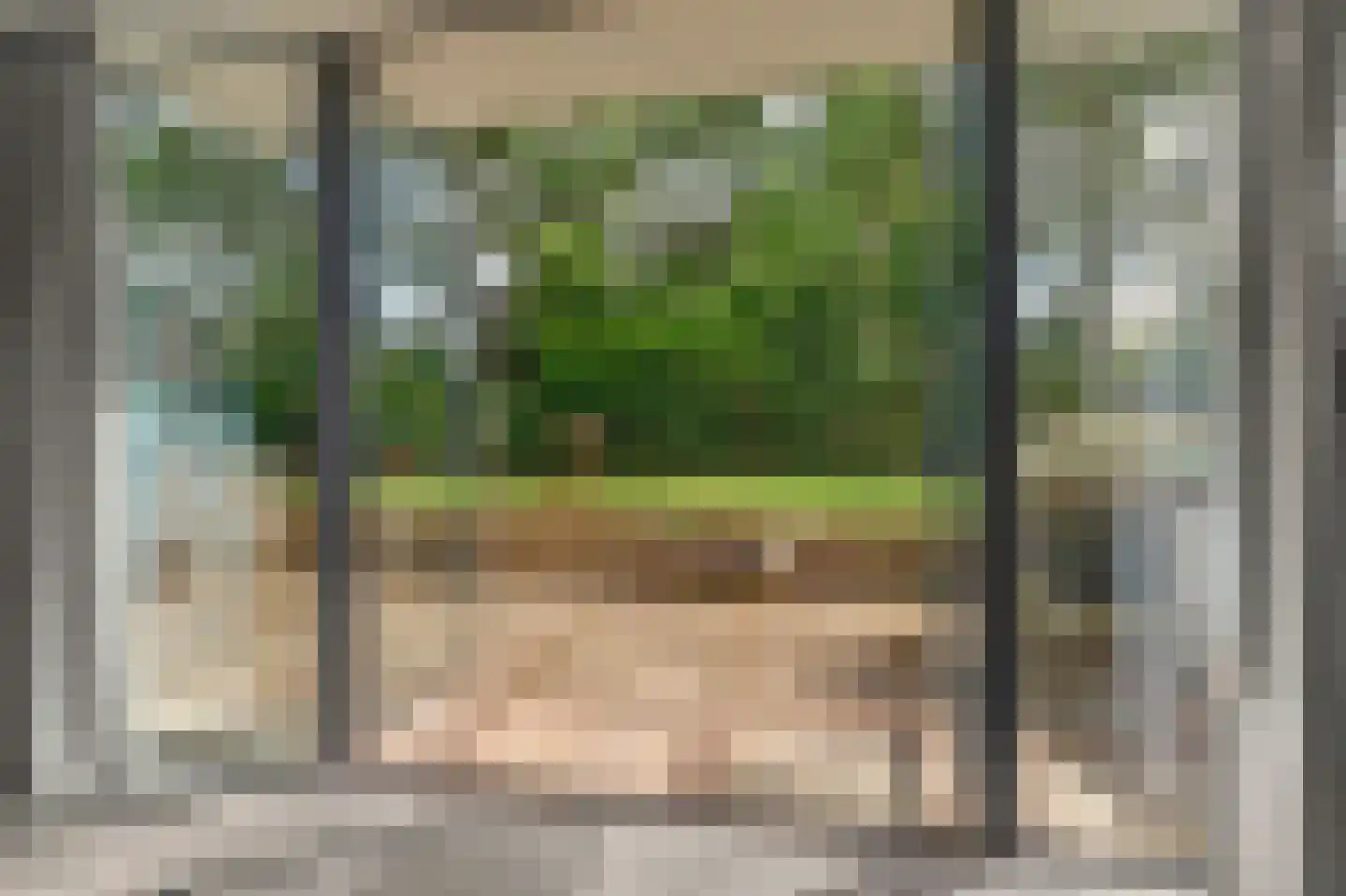 Dennenlaan 4 Valkenswaard thumbnail 18